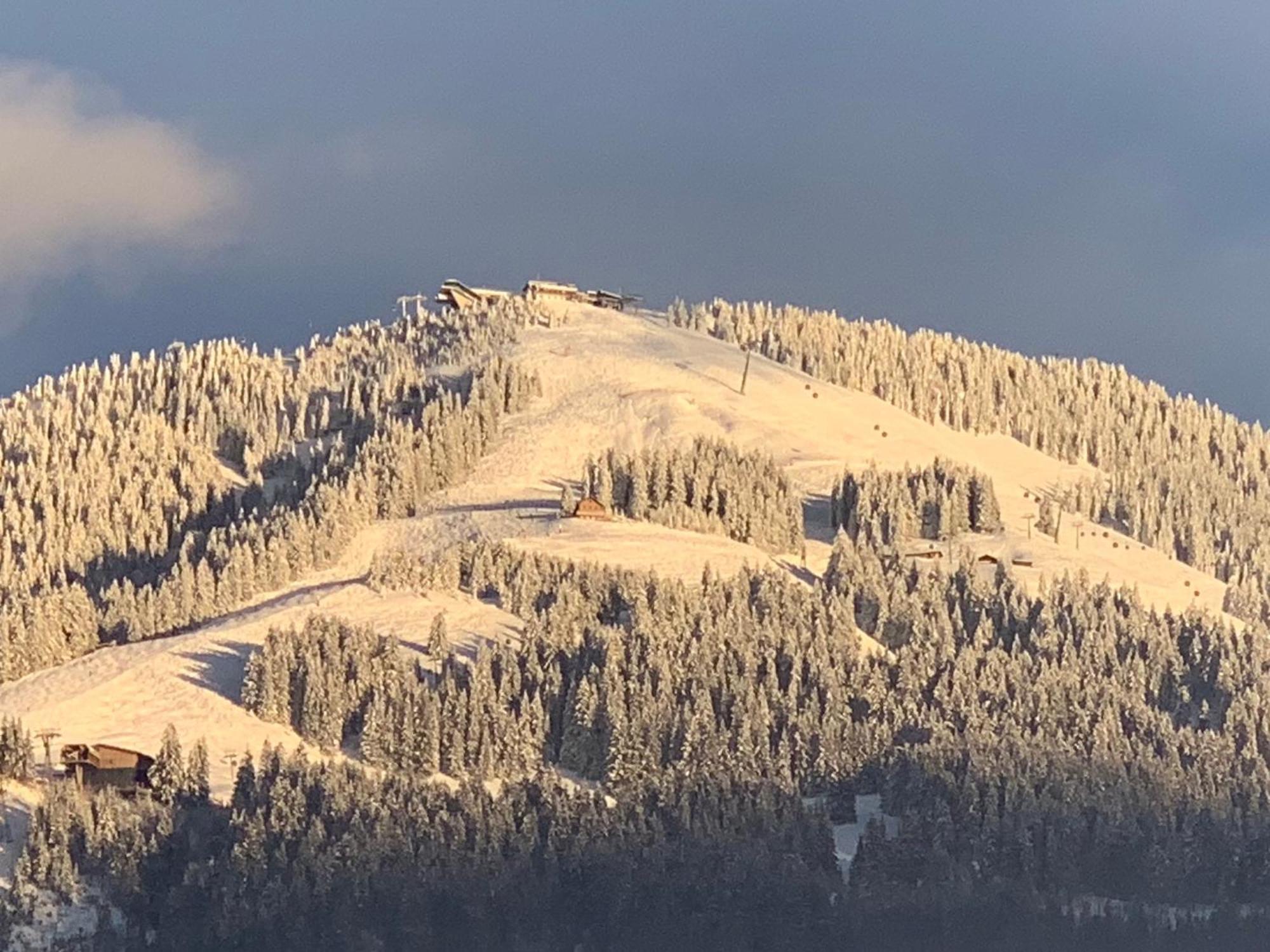 Appartementhaus Schubert Westendorf Extérieur photo